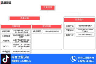 抖音運營人氣提升策略與專業咨詢支持