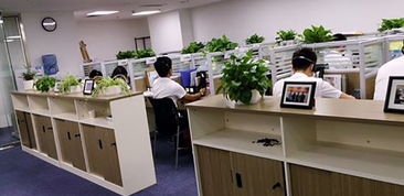 湖南企業(yè)管理咨詢(xún)行業(yè) 賦能企業(yè)成長(zhǎng)，驅(qū)動(dòng)區(qū)域經(jīng)濟(jì)新篇章